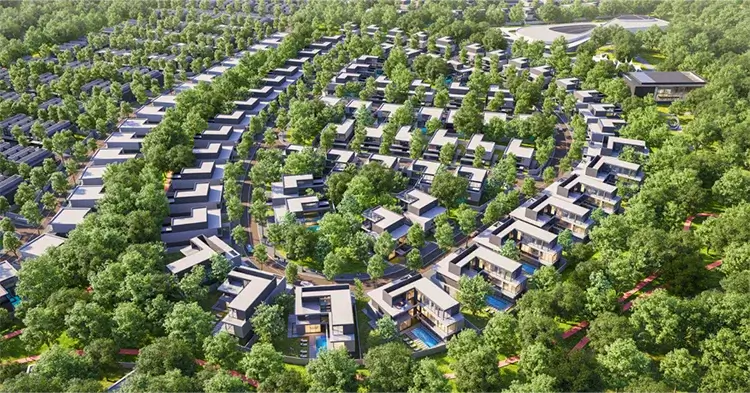 Wood Maintenance Dubai: Expert Tips to Preserve Your Wooden Furniture